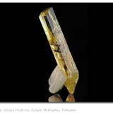 Beryl
fov 120 mm
(Autor: ploum)