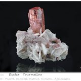 Tourmaline
fov 67 mm
(Autor: ploum)