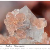 Talmessite
fov 3.7 mm
(Autor: ploum)