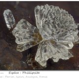 Phillipsite
fov 1.9 mm
(Autor: ploum)