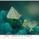 Libethenite and Turquoise
fov 1.8 mm
(Autor: ploum)