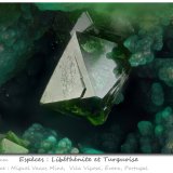 Libethenite and Turquoise
fov 1.7 mm
(Autor: ploum)