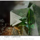 Libethenite
fov 1.6 mm
(Autor: ploum)