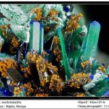 Azurite and malachite
fov 3.5 mm
(Autor: ploum)