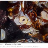 Jarosite
fov 1.8 mm
(Autor: ploum)