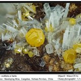 Wulfenite
fov 3.5 mm
(Autor: ploum)
