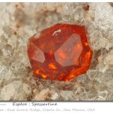 Garnet (variety spessartine)
fov 3 mm
(Autor: ploum)