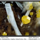 Wulfenite
fov 3.5 mm
(Autor: ploum)