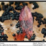Roselite
fov 3.5 mm
(Autor: ploum)