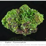 Pyromorphite
fov 79 mm
(Autor: ploum)