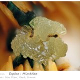 Mimetite
fov 5.2 mm
(Autor: ploum)