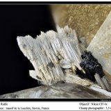 Rutile
fov 3.5 mm
(Autor: ploum)