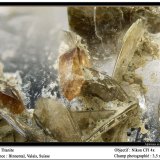 Titanite
fov 3.5 mm
(Autor: ploum)