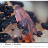 Roselite
fov 4.7 mm
(Autor: ploum)