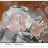 Talmessite
fov 4.7 mm
(Autor: ploum)