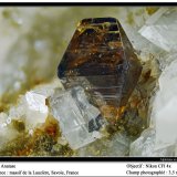 Anatase
fov 3.5 mm
(Autor: ploum)