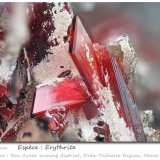 Erythrite
fov 4.7 mm
(Autor: ploum)