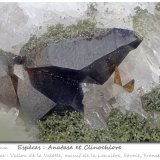 Anatase
fov 3.4 mm
(Autor: ploum)