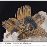 Rutile and Hematite
fov 6.5 mm
(Autor: ploum)