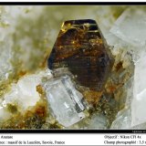 Anatase
fov 3.5 mm
(Autor: ploum)