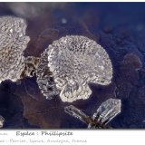 Phillipsite
fov 3.0 mm
(Autor: ploum)