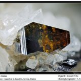 Anatase
fov 3.5 mm
(Autor: ploum)