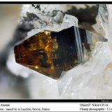 Anatase
fov 3.5 mm
(Autor: ploum)
