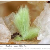 Agardite-Ce
fov 6.8 mm
(Autor: ploum)