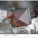 Anatase
fov 1.75 mm
(Autor: ploum)