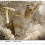 Enstatite
fov 3.1 mm
(Autor: ploum)