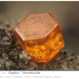 Vanadinite
fov 1.30 mm
(Autor: ploum)