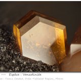 Vanadinite
fov 1.40 mm
(Autor: ploum)