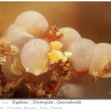 Strengite and Cacoxenite
fov 1.35 mm
(Autor: ploum)