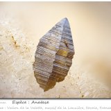 Anatase
fov 4.5 mm
(Autor: ploum)