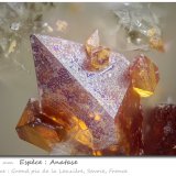 Anatase
fov 1.56 mm
(Autor: ploum)
