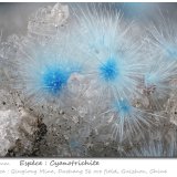 Cyanotrichite
fov 4.5 mm
(Autor: ploum)