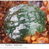 Adamite
fov 1.50 mm
(Autor: ploum)