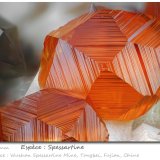 Spessartine
fov 6.0 mm
(Autor: ploum)