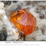 Spessartine
fov 6.2 mm
(Autor: ploum)