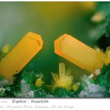 Kasolite
fov 1.56 mm
(Autor: ploum)