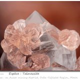 Talmessite
fov 3.0 mm
(Autor: ploum)