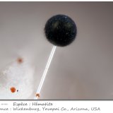 Hematite
fov 0.74 mm
(Autor: ploum)