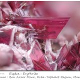 Erythrite
fov 4.6 mm
(Autor: ploum)