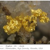 Gold
fov 6.7 mm
(Autor: ploum)