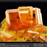 Wulfenite
fov 10 mm
(Autor: ploum)