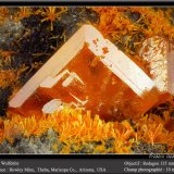 Wulfenite
fov 10 mm
(Autor: ploum)