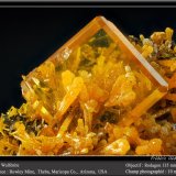 Wulfenite
(Autor: ploum)