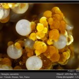 Strengite and Cacoxenite
fov 1.5 mm
(Autor: ploum)
