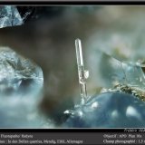Fluorapatite (Apatite Group) and Haüyne
fov 1.5 mm
(Autor: ploum)