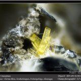Uranophane
fov 0.7 mm
(Autor: ploum)